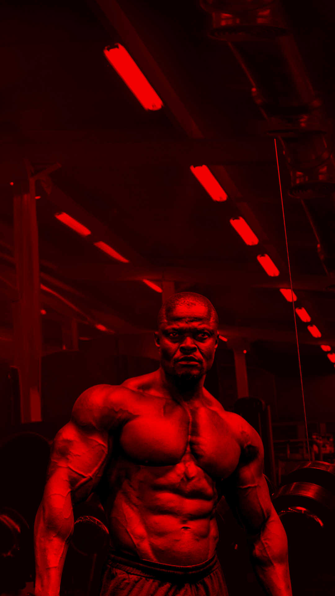 BN Black Bul banner (5)